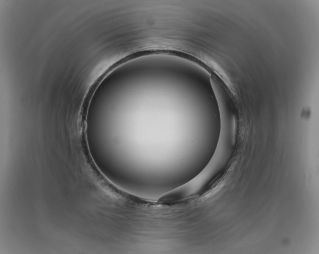 X0000090920885200707301531