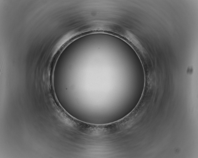X0000090920886200707301531