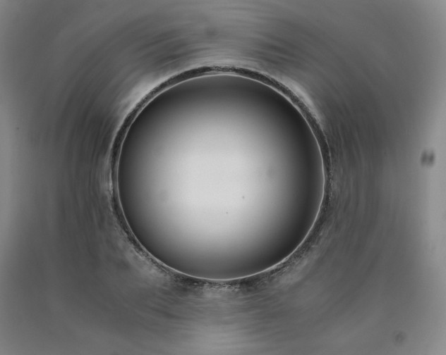 X0000090920887200707301531