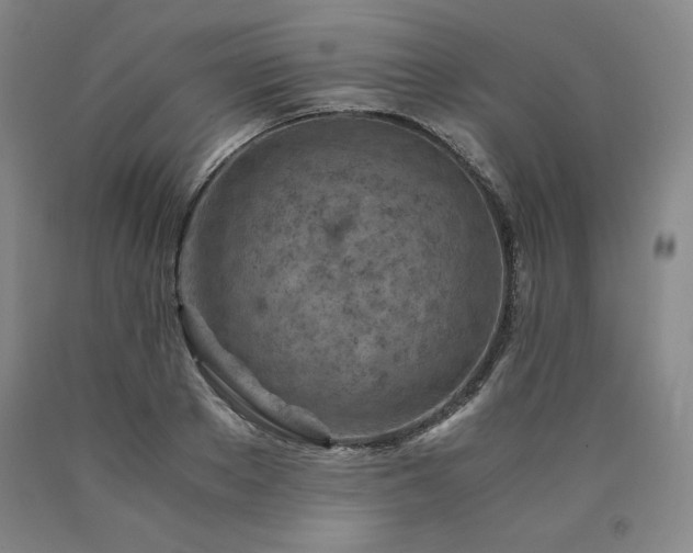 X0000090920889200707301531
