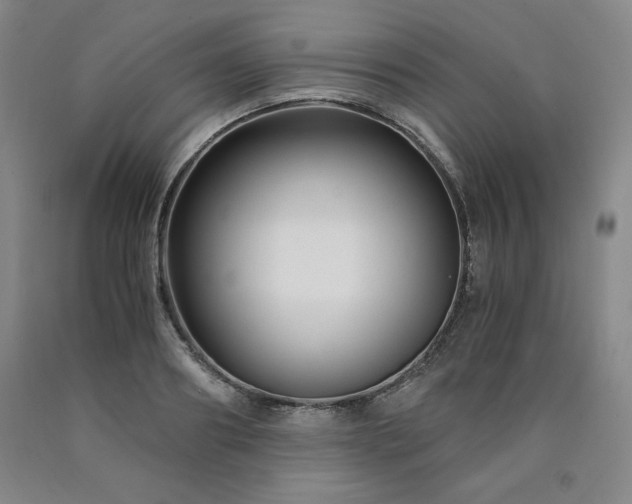 X0000090920890200707301531