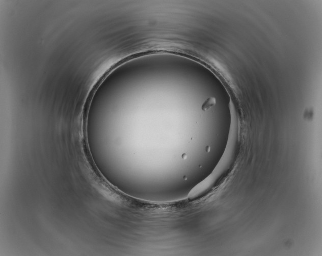 X0000090920891200707301531