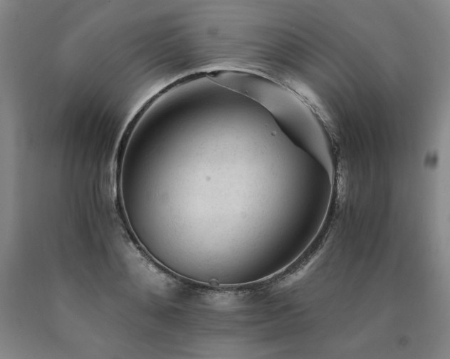 X0000090920892200707301531