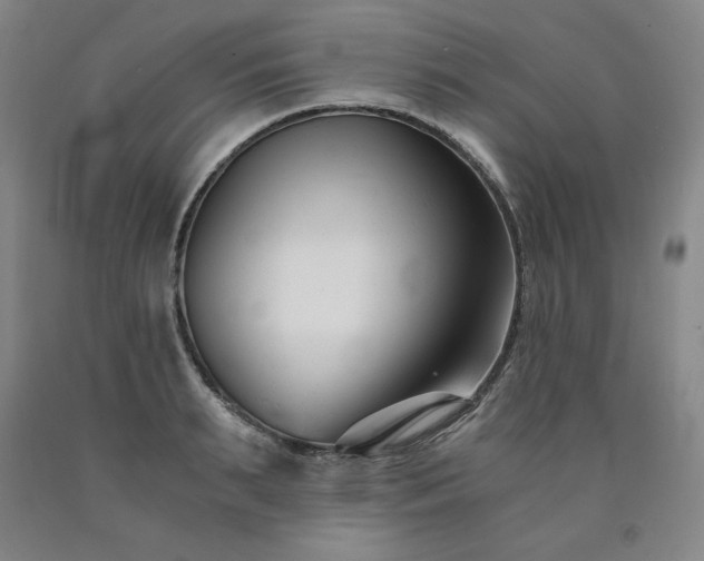 X0000090920895200707301530