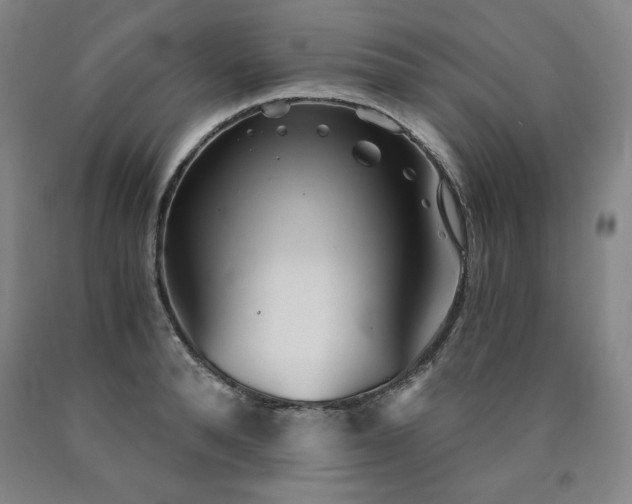 X0000090920896200707301530