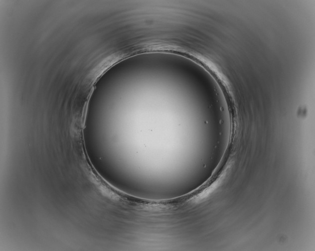 X0000090920897200707301530