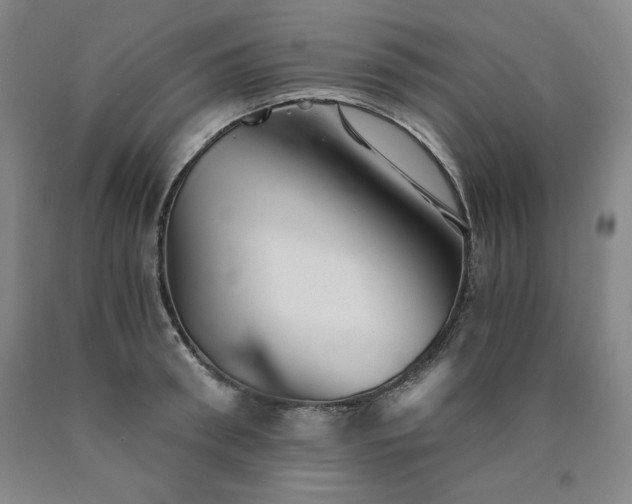 X0000090920898200707301530