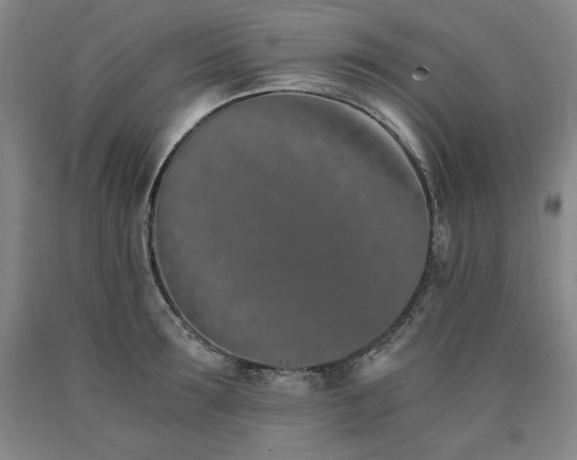 X0000090920899200707301530