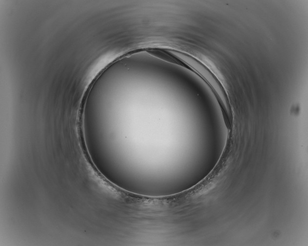X0000090920901200707301530