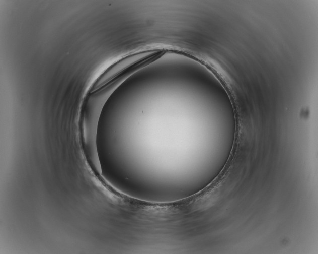 X0000090920902200707301530