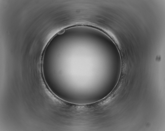 X0000090920903200707301530