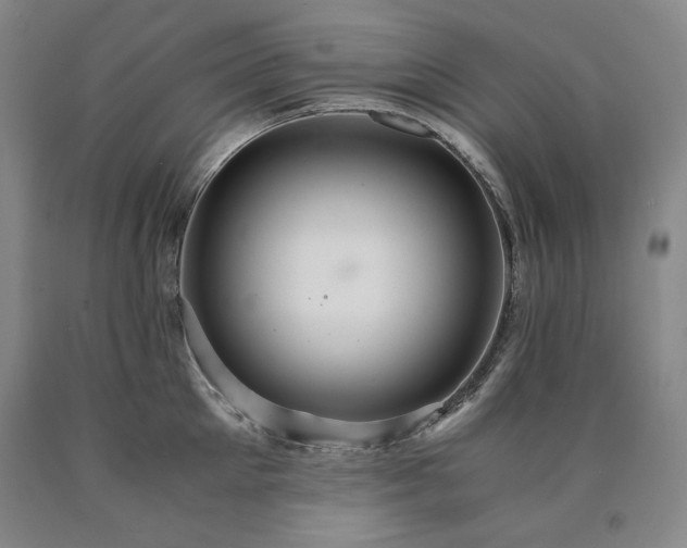X0000090920905200707301530