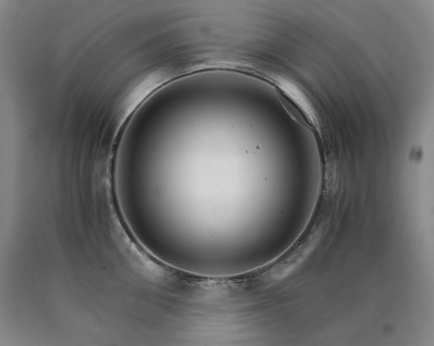 X0000090920906200707301530