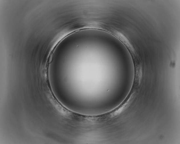 X0000090920908200707301530