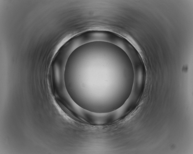 X0000090920909200707301530