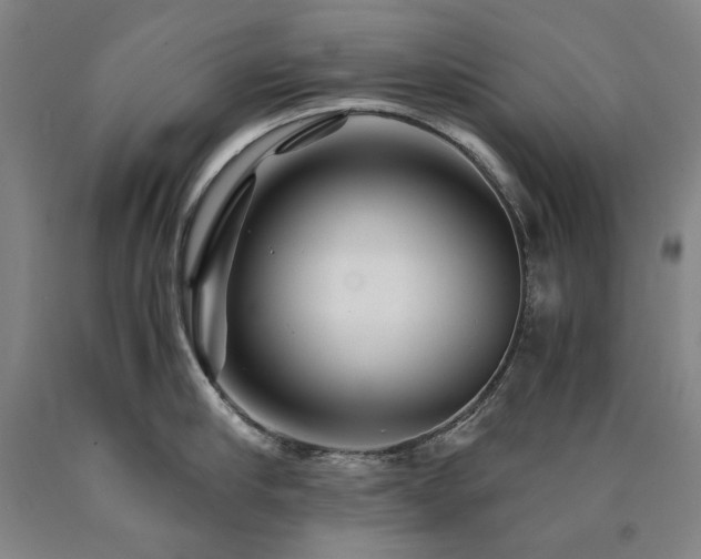 X0000090920910200707301530