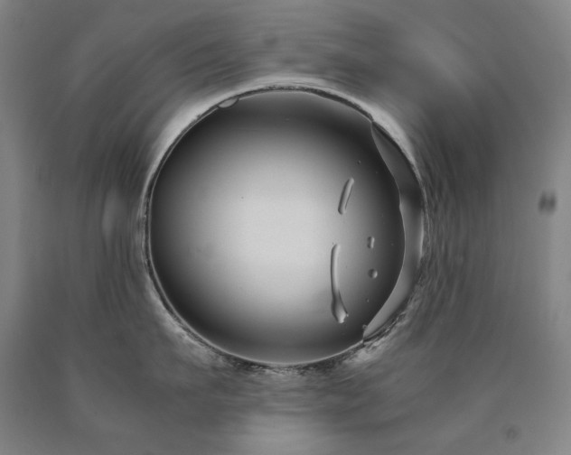 X0000090920911200707301530