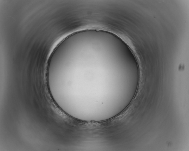 X0000090920912200707301530