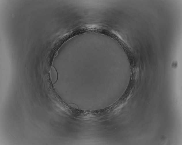 X0000090920913200707301530