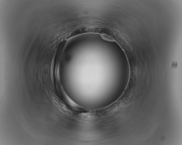 X0000090920914200707301530