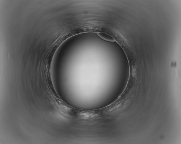 X0000090920915200707301530