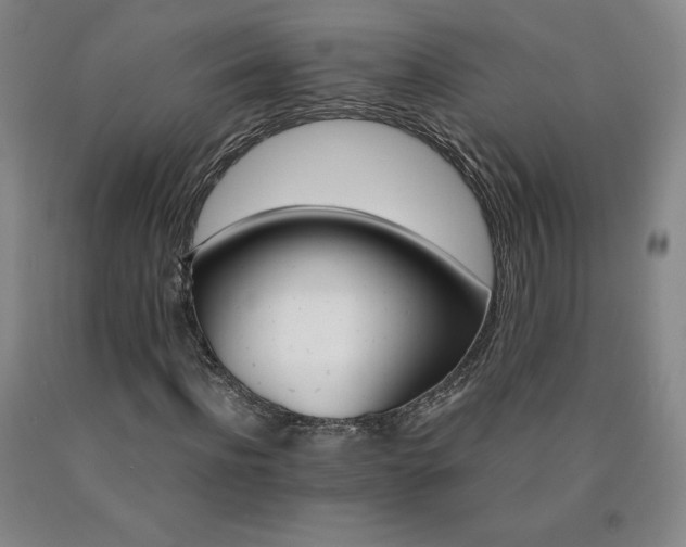 X0000090920916200707301530