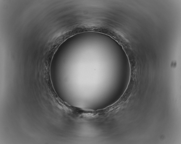 X0000090920917200707301530
