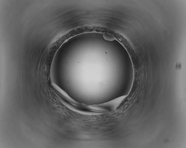 X0000090920919200707301530