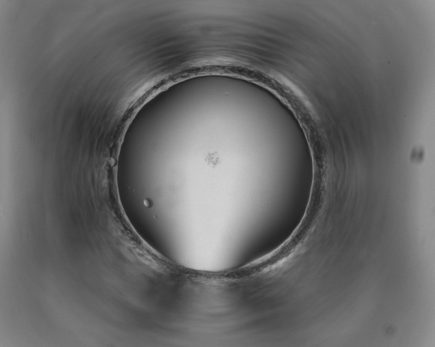 X0000090920921200707301530