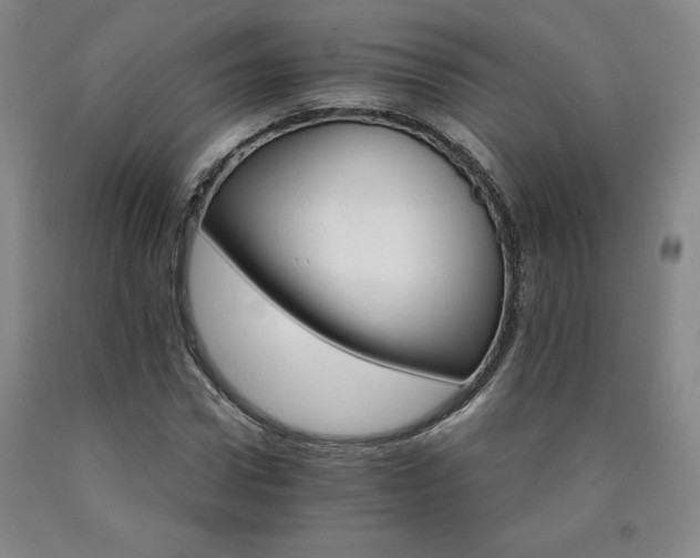 X0000090920922200707301530