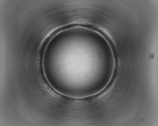 X0000090920923200707301530