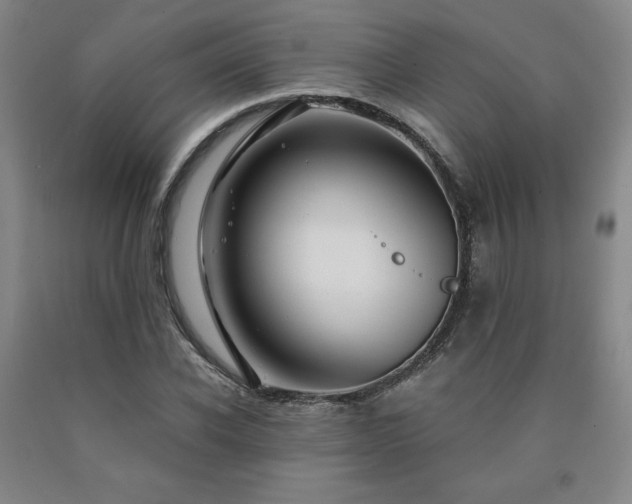 X0000090920926200707301530
