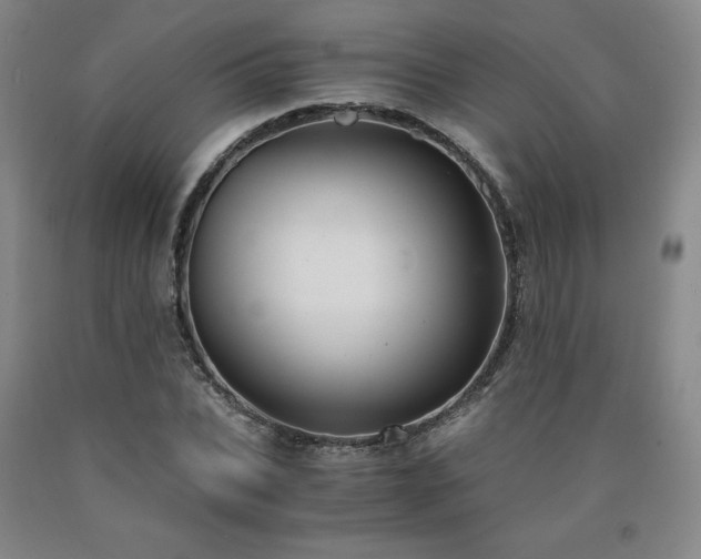 X0000090920927200707301530