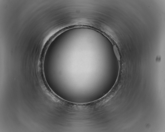 X0000090920928200707301530