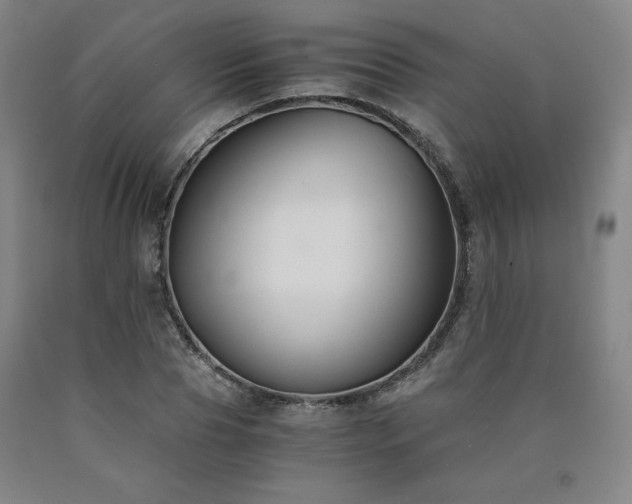 X0000090920929200707301530