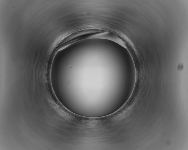 X0000090920930200707301530