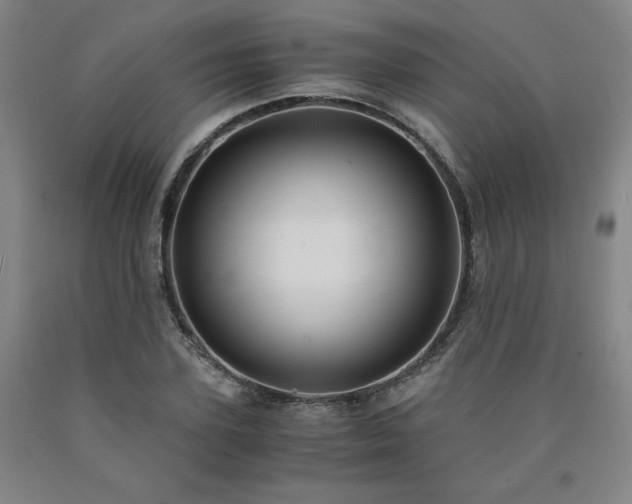 X0000090920931200707301530
