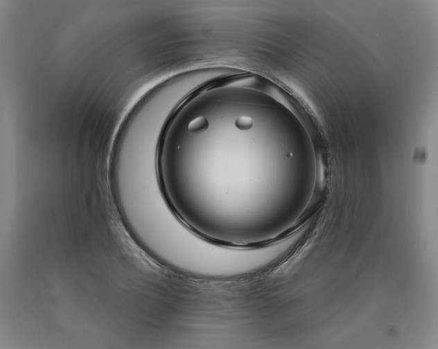 X0000090920932200707301530
