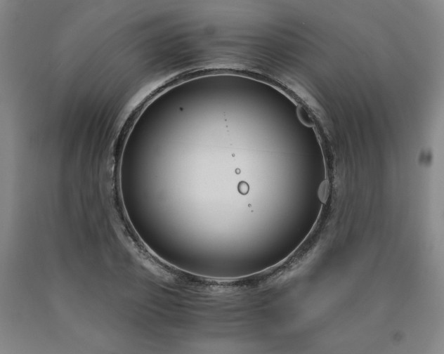 X0000090920933200707301530
