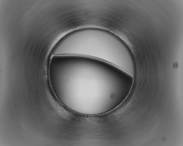 X0000090920934200707301530