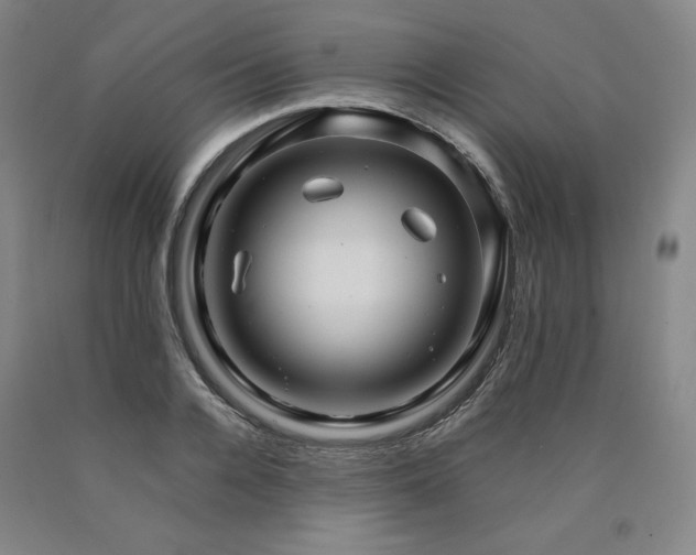 X0000090920936200707301530