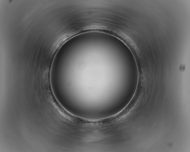 X0000090920937200707301530