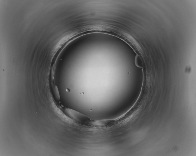 X0000090920938200707301530