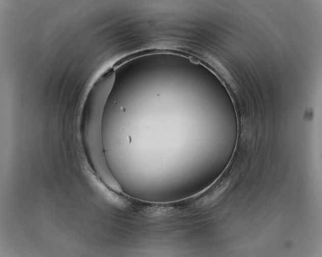 X0000090920939200707301530