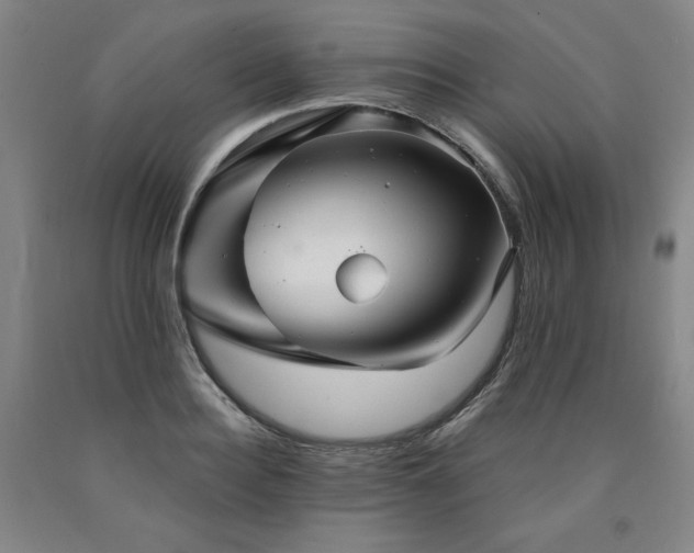 X0000090920940200707301530
