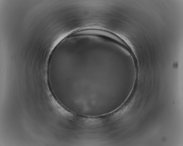 X0000090920941200707301530