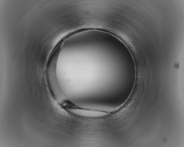 X0000090920942200707301530