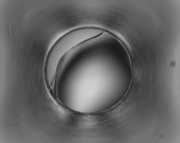 X0000090920943200707301530