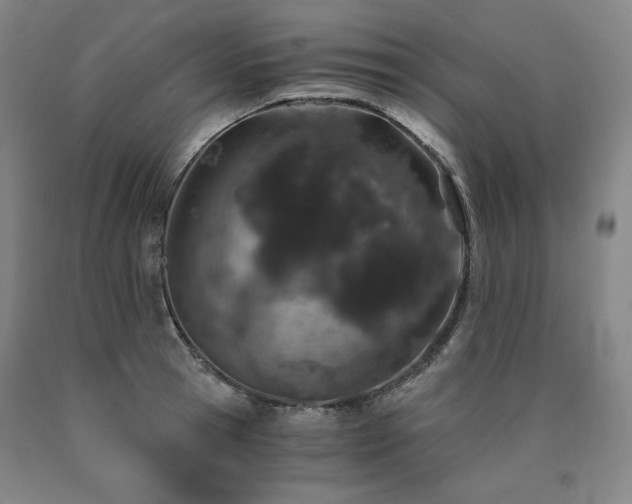 X0000090920945200707301530