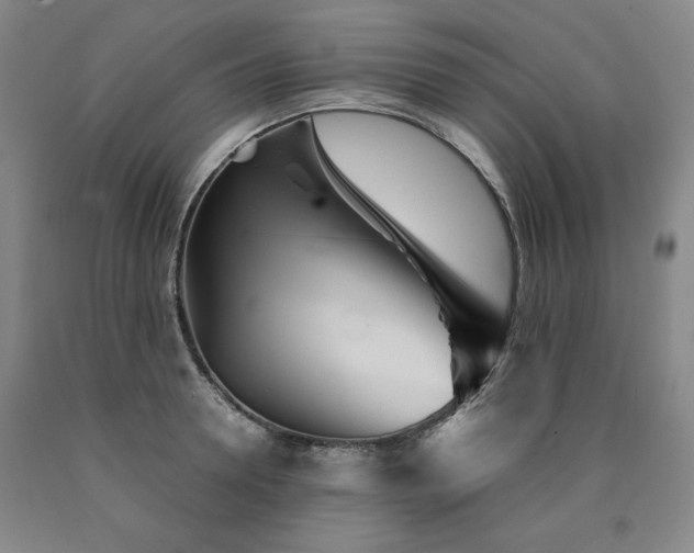 X0000090920946200707301530